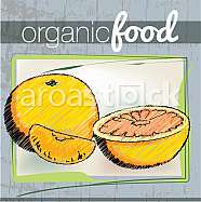 Organic Food illustration