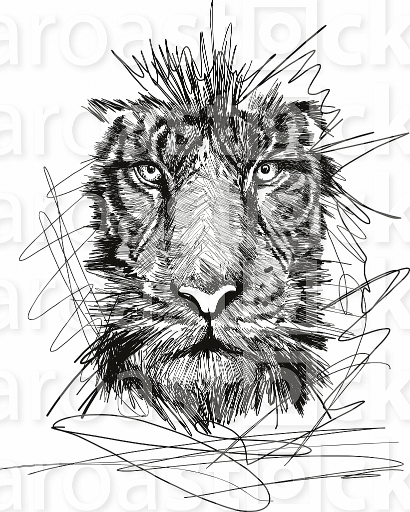 Sketch of tiger face